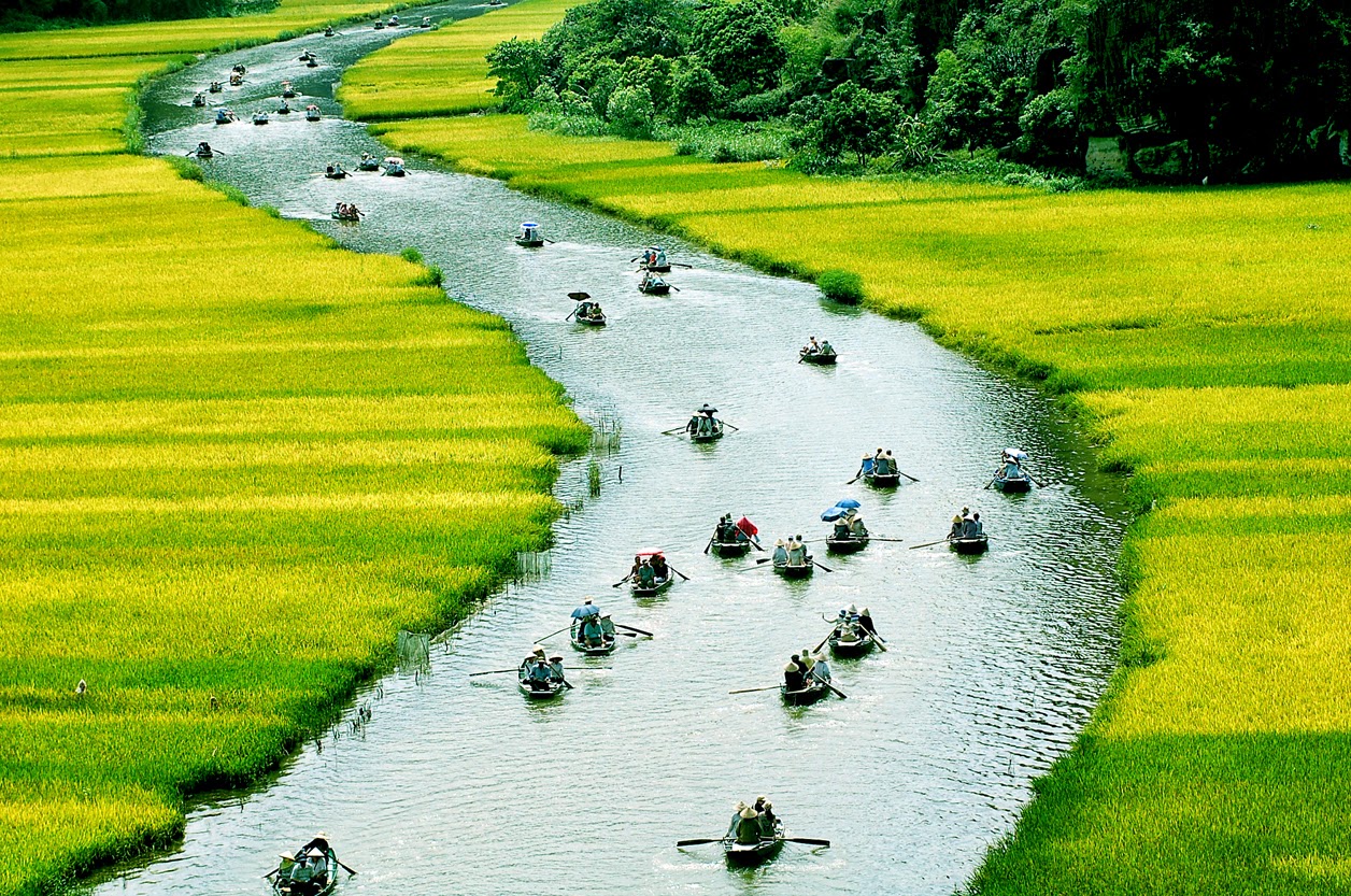 Hình ảnh quê hương với dòng sông uốn quanh bên đồng lúa