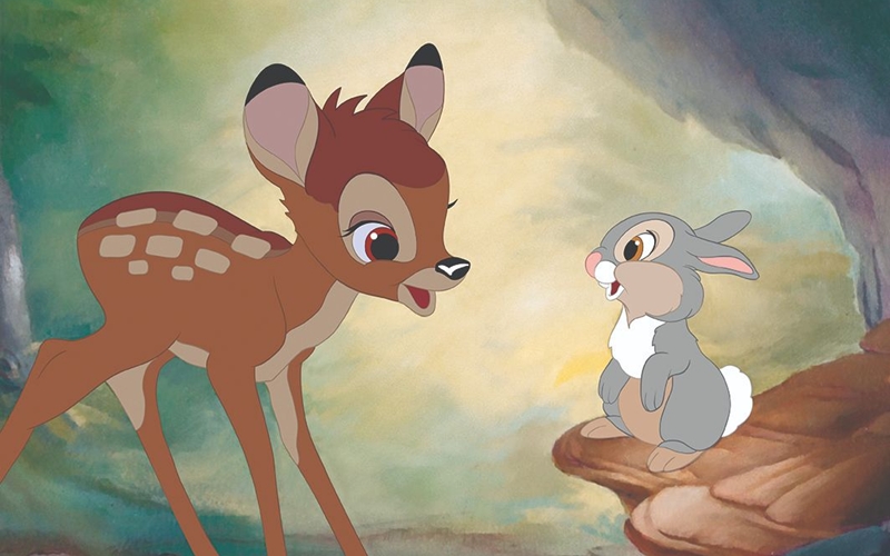 “BamBi” - Chú nai Bambi