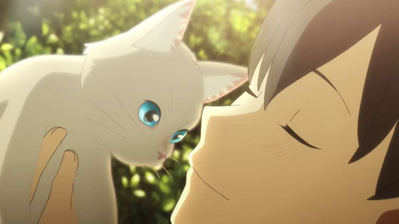 Nakitai Watashi wa Neko o Kaburu - Khi muốn khóc, tôi đeo mặt nạ mèo