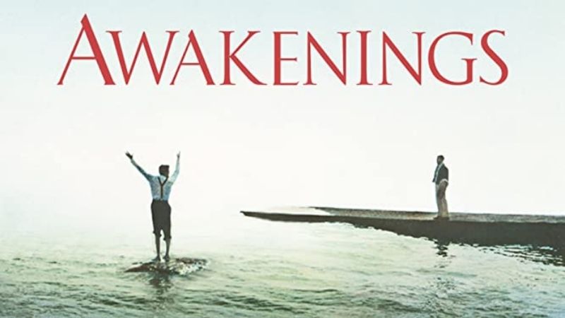 Awakenings - Thức tỉnh