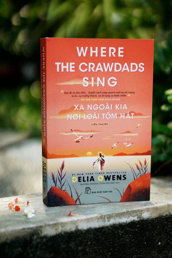 Bìa sách Where the Crawdads Sing bản tiếng Việt. Ảnh:NXB Trẻ