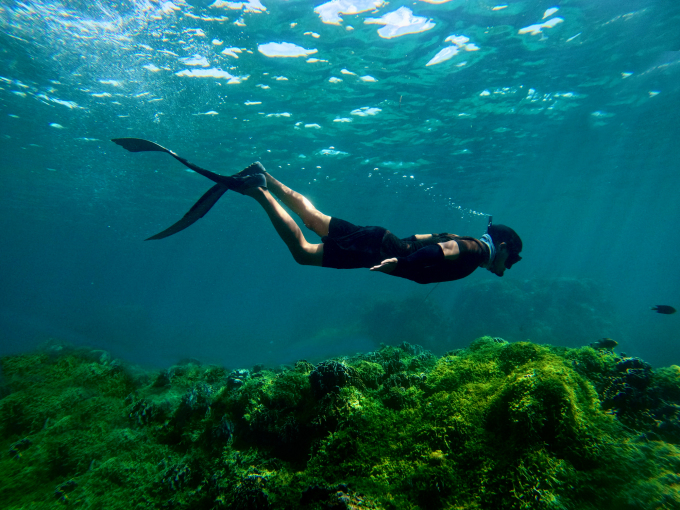 Du khách lặn ngắm san hô ở đảo Phú Quý. Ảnh: Huỳnh Ka.