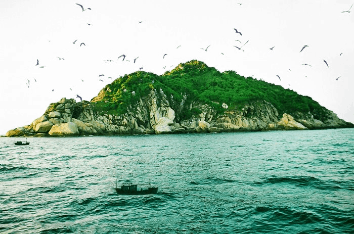 Đảo Yến thuộc quản lý du lịch của công ty Yến sào Khánh Hòa