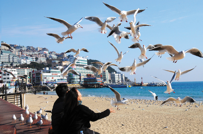 Bãi biển Haeundae tại Busan, Hàn Quốc. Ảnh: XIN TÊN NGƯỜI CHỤP