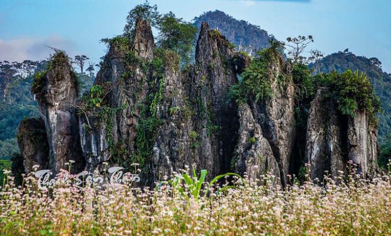 Nhóm 7 tượng đá ở Hà Giang.
